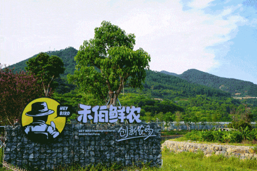 廈門人注意 國慶度假新模式來了 你還不知道