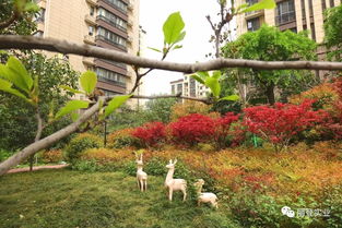 封頂大吉 熱烈慶祝麗登 印象城三期榮耀封頂