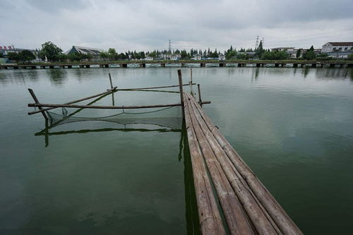 養(yǎng)了這么久池塘,水體就是肥不起來的原因都在這