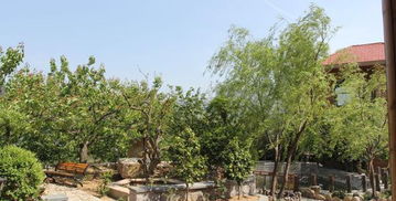 嶗山北宅迦南美地生態(tài)園門票,嶗山北宅迦南美地生態(tài)園門票預(yù)訂,嶗山北宅迦南美地生態(tài)園門票價(jià)格,去哪兒網(wǎng)門票