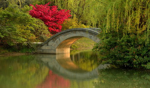 花開海上生態(tài)園門票,花開海上生態(tài)園游玩攻略 360地圖