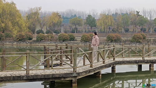 寵物花草 生態(tài)園 powered by discuz