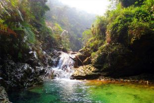 數(shù)據(jù) 2018中國(guó)森林旅游和康養(yǎng)超16億人次