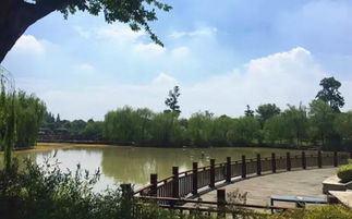 木頭的前世今生丨探訪(fǎng)世友地板生產(chǎn)基地