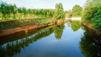 大新安又一個(gè)好玩的地兒 3000余畝的大型生態(tài)園,了解一下