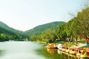 孝昌松花生態(tài)園與九龍?zhí)渡鷳B(tài)園特產(chǎn)導(dǎo)覽