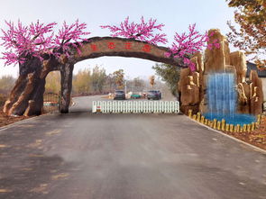 專業(yè)施工，生態(tài)融合 九龍?zhí)渡鷳B(tài)園仿真樹大門設(shè)計(jì)與安裝紀(jì)實(shí)