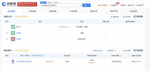 中國(guó)電信成立新公司 投資5億元布局計(jì)算機(jī)系統(tǒng)服務(wù)
